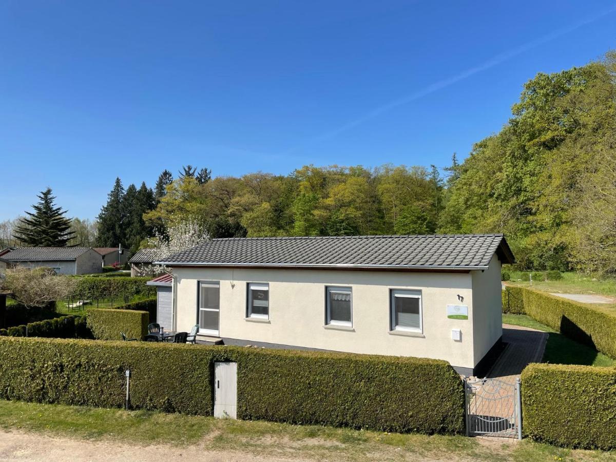 Ferienhaus Am Klosterwald Dargun Exterior photo